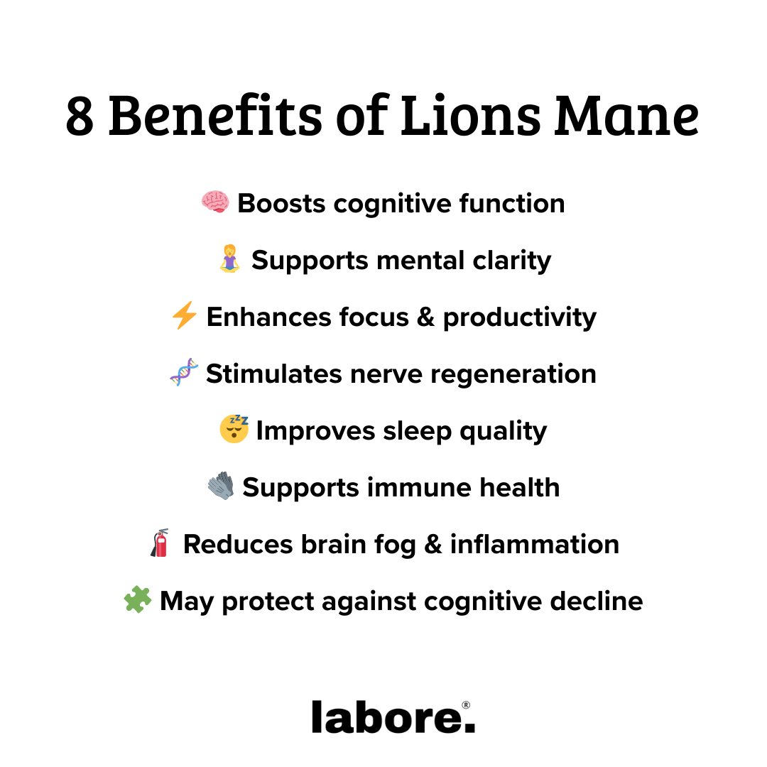 Lions Mane (Focus & Memory)