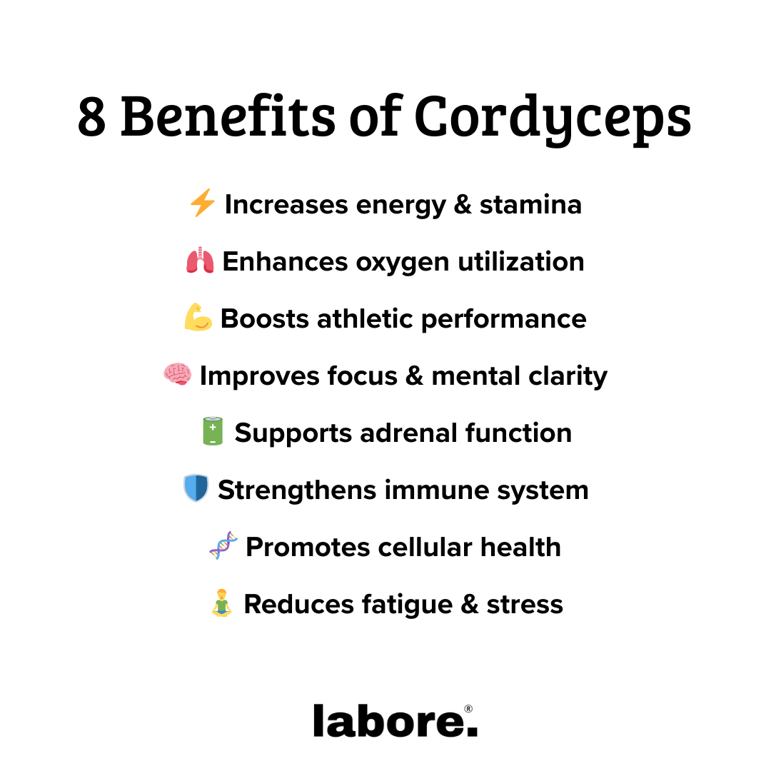 Cordyceps (Coffee Replacement)